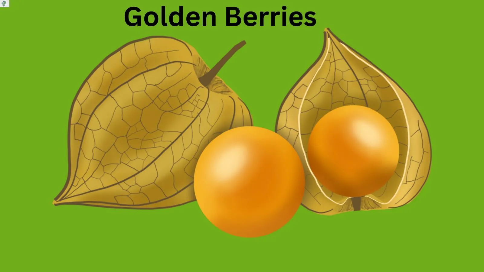 golden-berries
