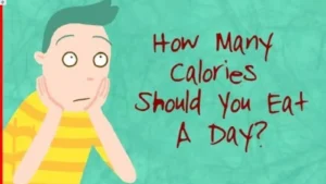 how-many-calories-per-day