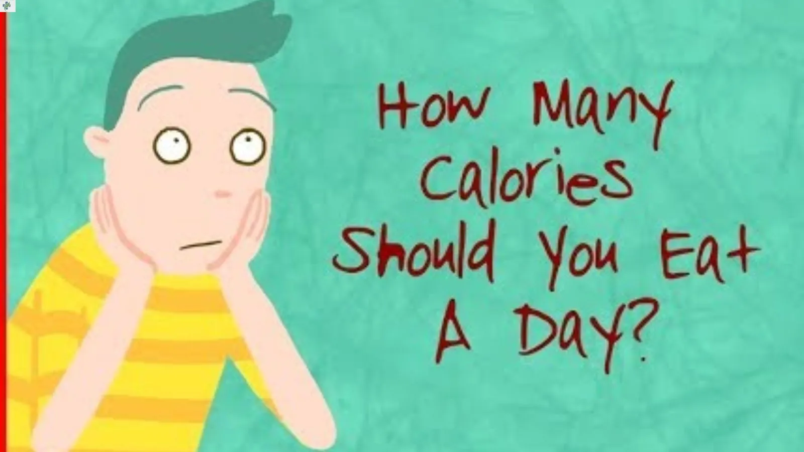 how-many-calories-per-day