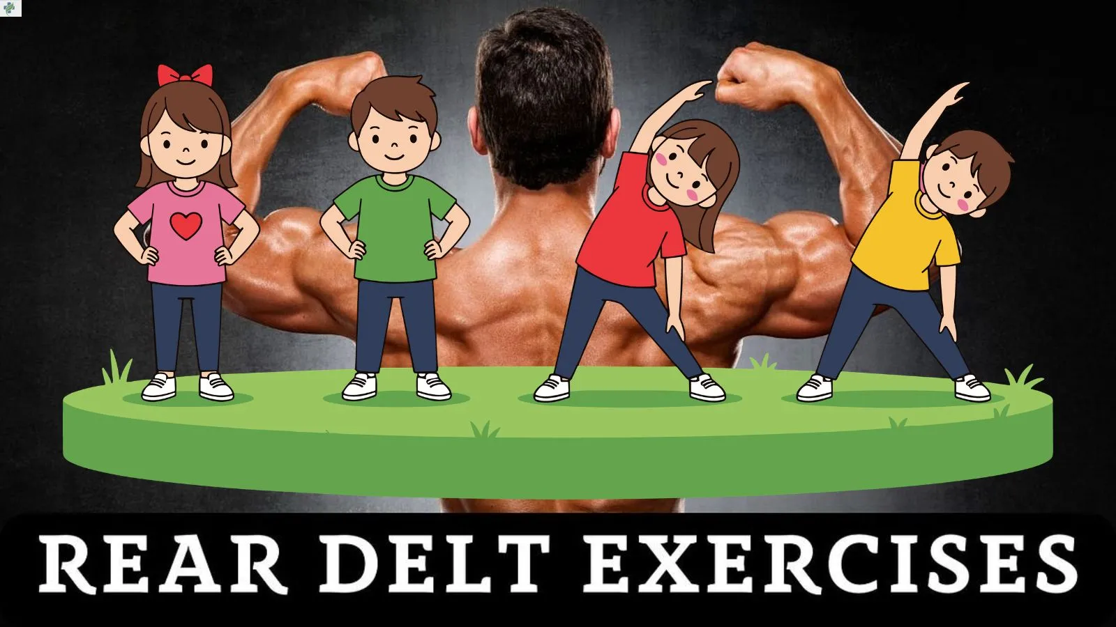 rear-delt-exercises