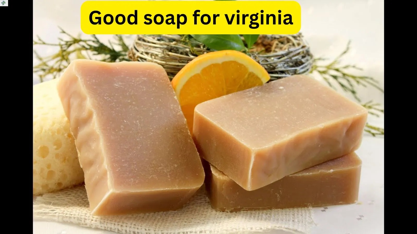 soap-for-virginia
