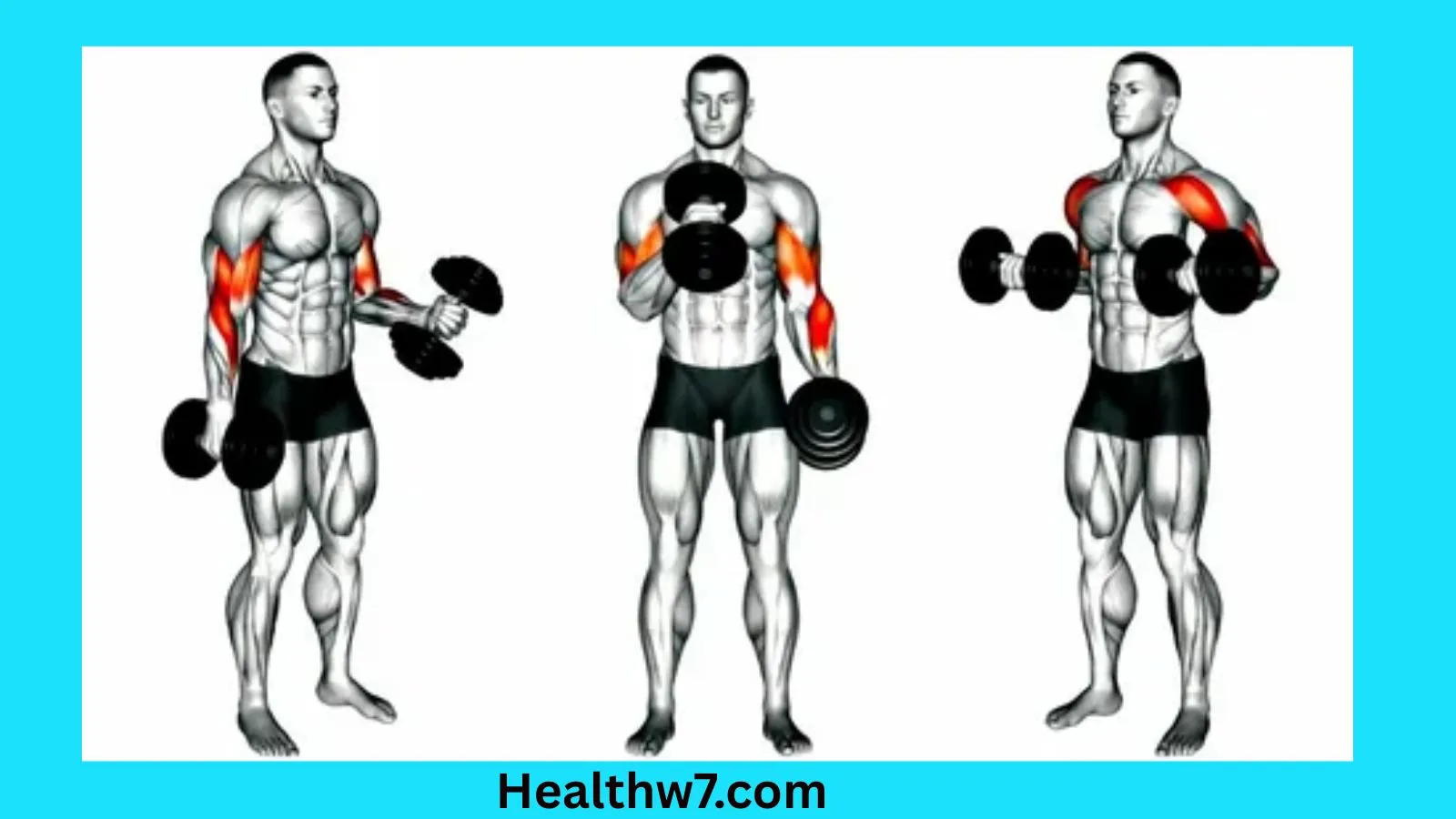 dumbbell-arm-exercises
