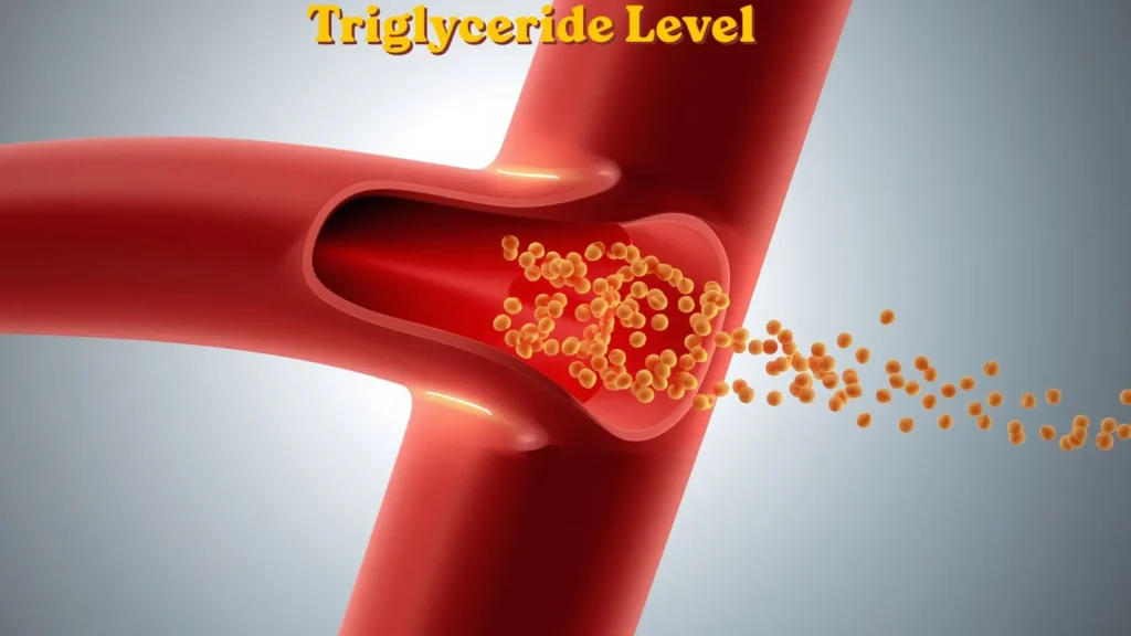 triglyceride